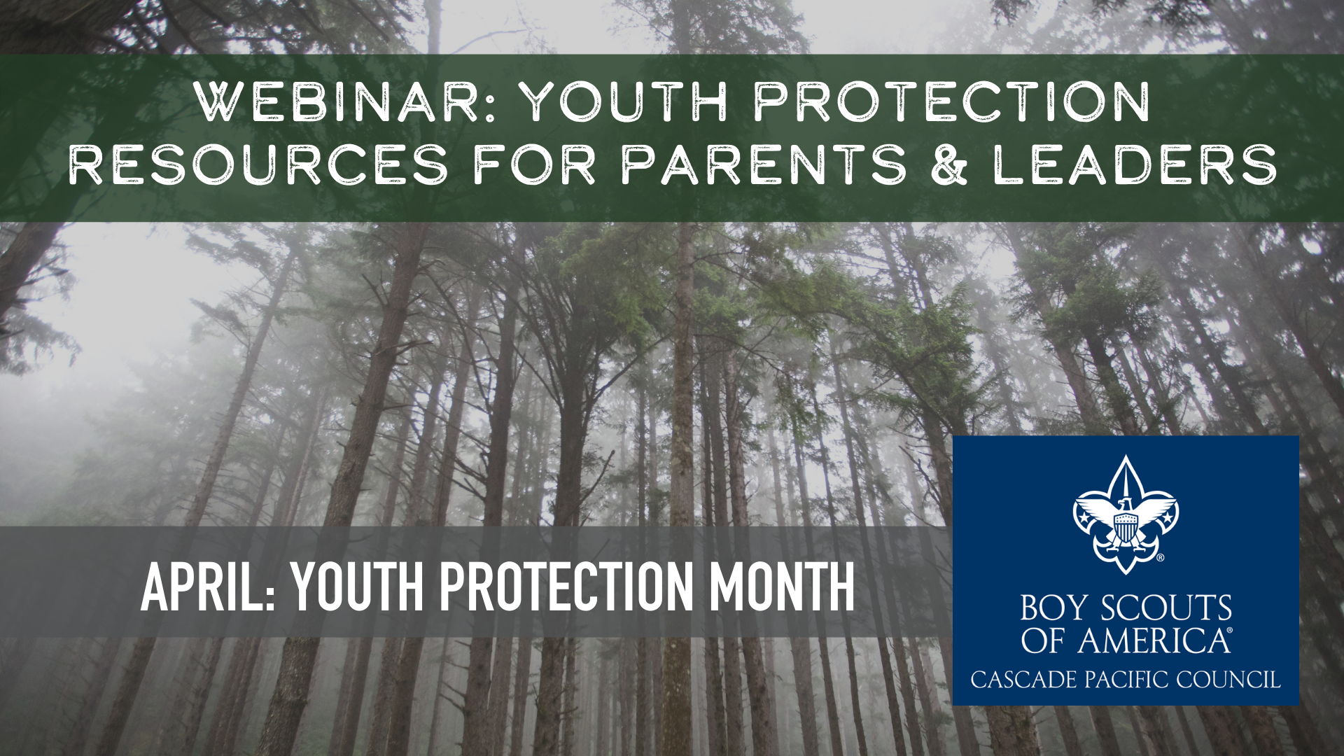 Webinar: Youth Protection Month: Resources for Parents & Leaders