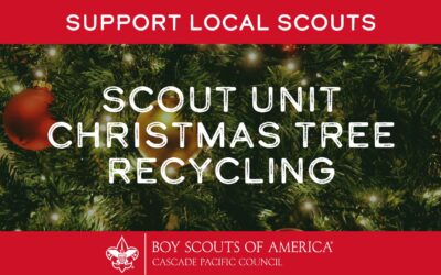2024 Christmas Tree Recycling Information